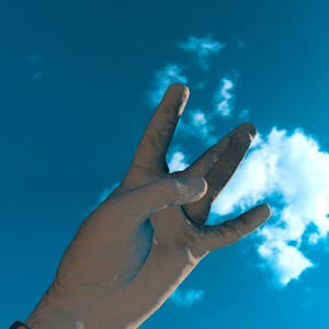 Meet your Posher, Wesley